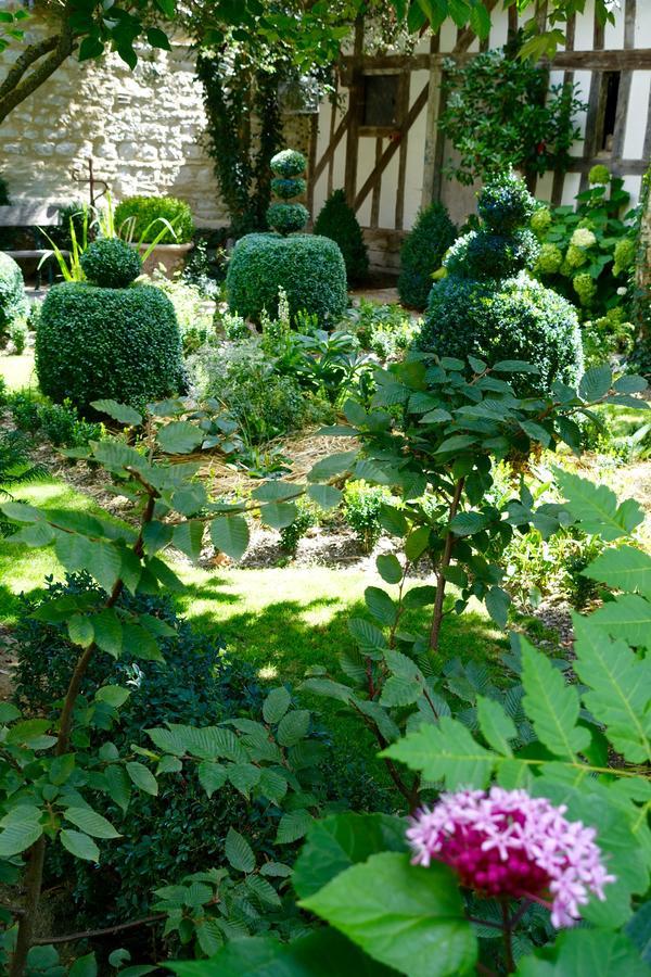 Le Jardin De La Cathedrale Bed & Breakfast Troyes Exterior foto